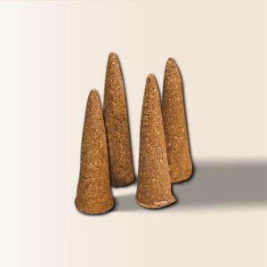 Nụ Đinh Đặc Biệt - Champa Home