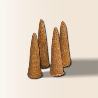 Nụ Đinh Đặc Biệt - Champa Home