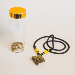 Dây mặt kỳ hải nam - Champa Home