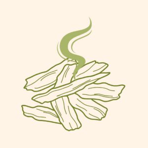 Xông Đốt - Champa Home