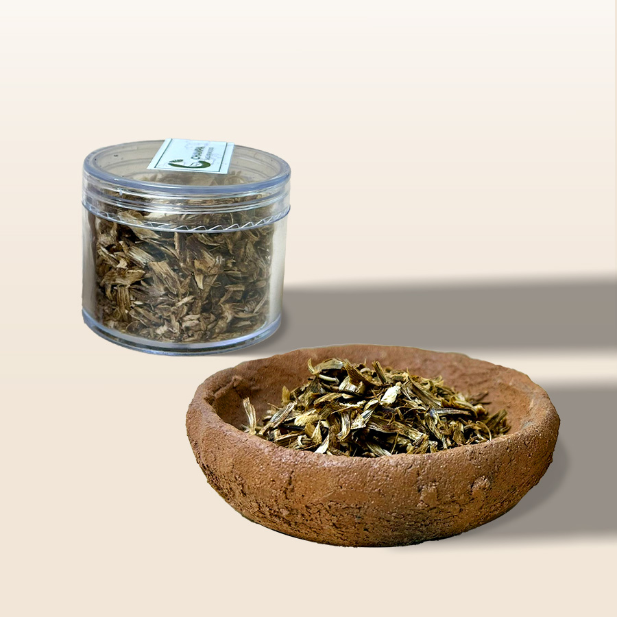 Dăm Kỳ Hải Nam - Champa Home